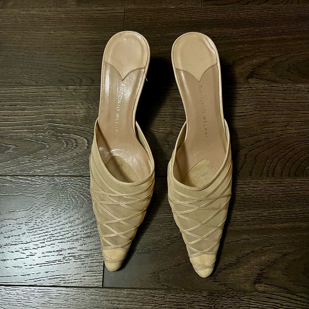 Pointed Mesh Mules - Picture 3 of 3